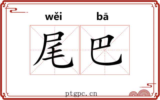 尾巴 尾巴