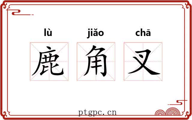 鹿角叉 鹿角叉
