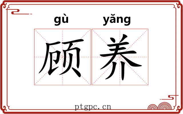 顾养 顾养