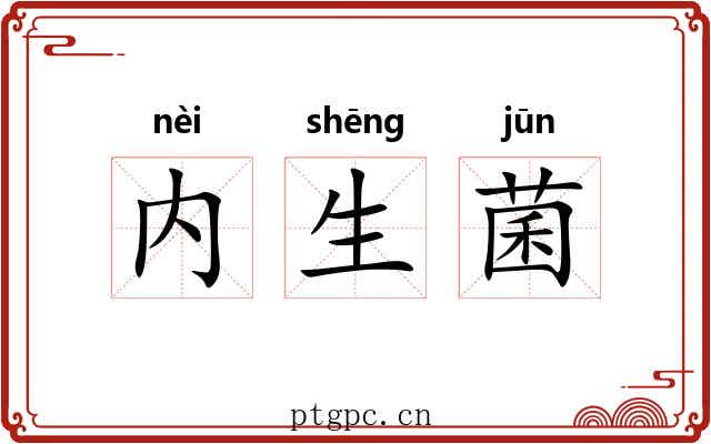 内生菌 内生菌