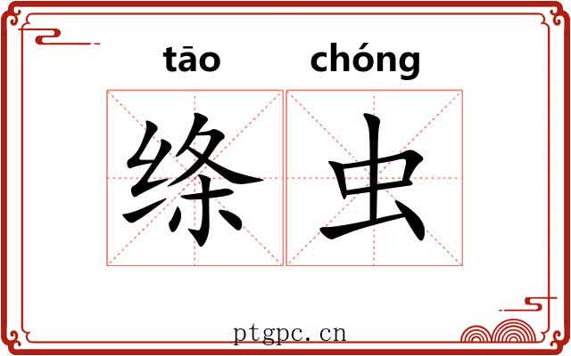 绦虫