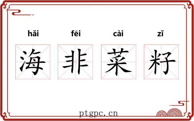 海非菜籽 海非菜籽