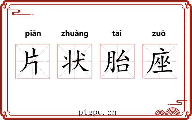 片状胎座 片状胎座