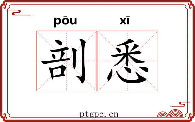 剖悉