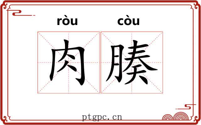 肉腠