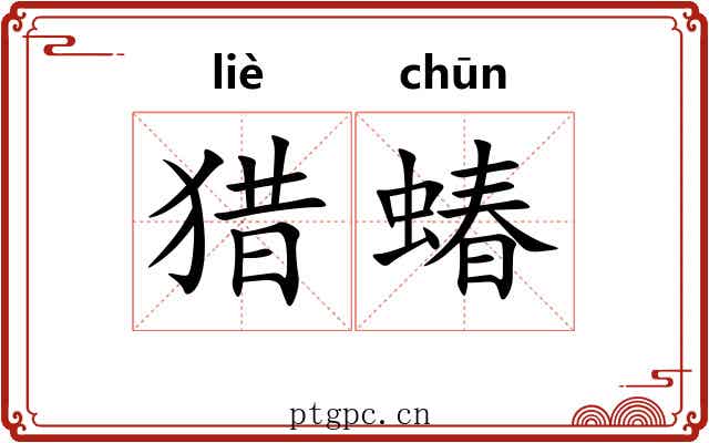 猎蝽
