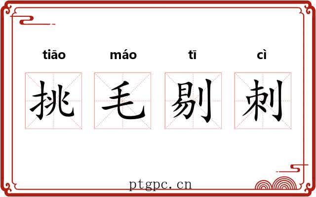 挑毛剔刺