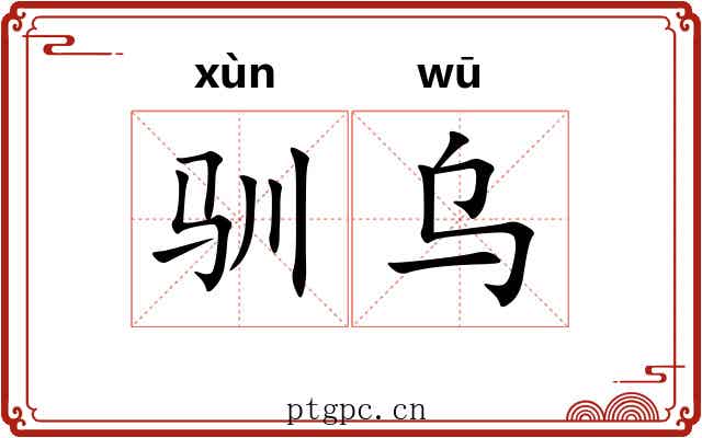 驯乌