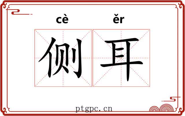 侧耳