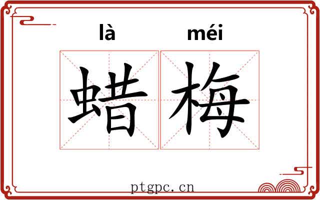 蜡梅 蜡梅