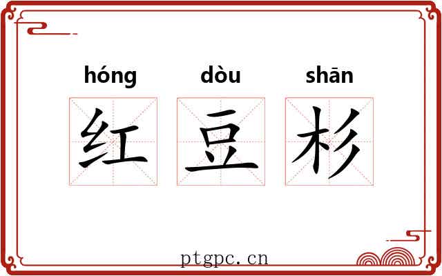 红豆杉 红豆杉