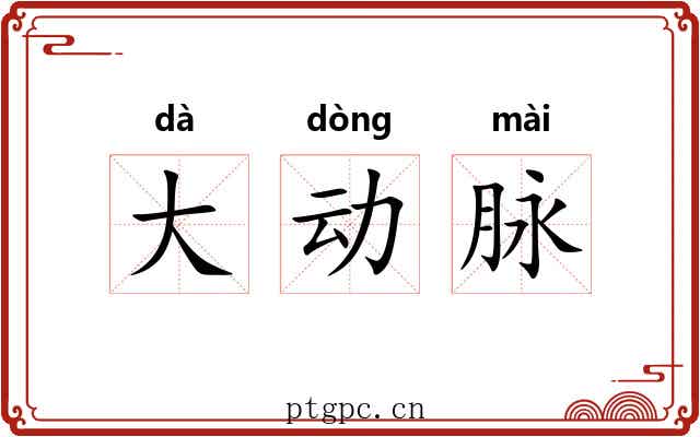大动脉 大动脉