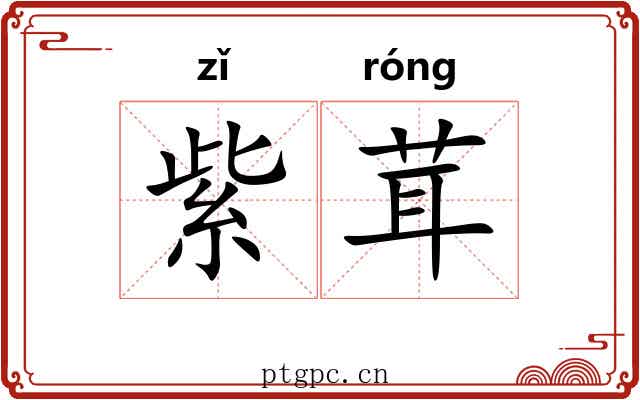 紫茸 紫茸