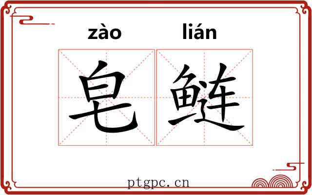 皂鲢