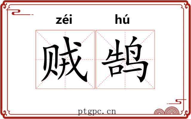 贼鹄