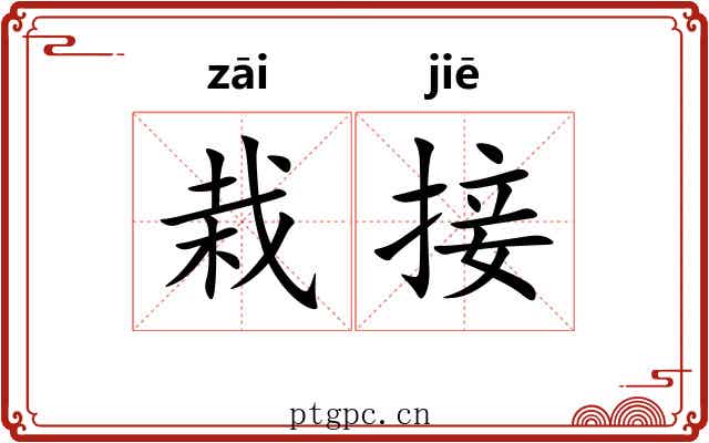 栽接
