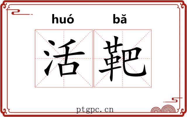活靶 活靶