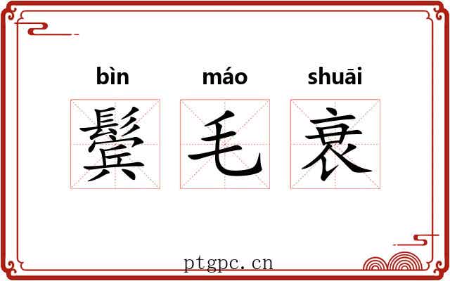 鬓毛衰 鬓毛衰
