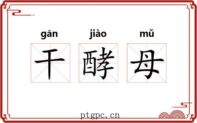 干酵母 干酵母