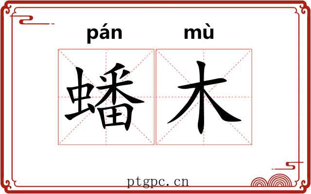 蟠木 蟠木