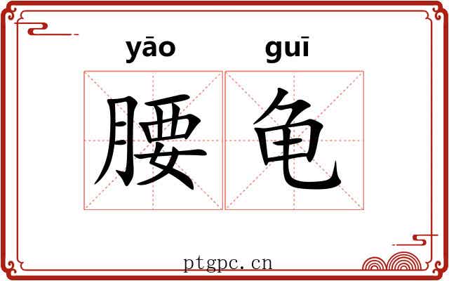 腰龟 腰龟