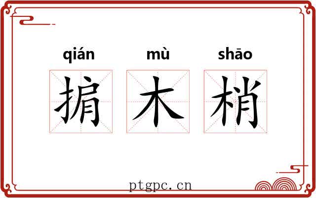 掮木梢 掮木梢