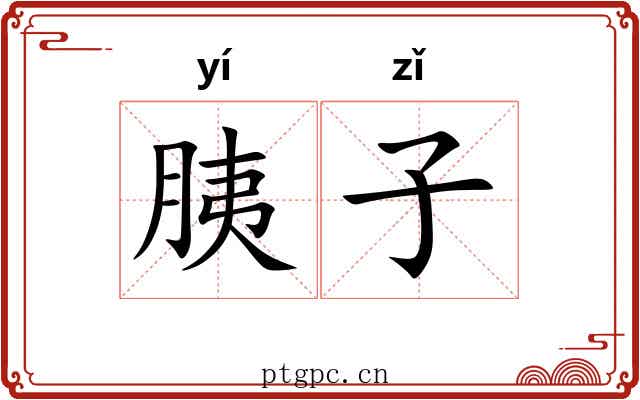 胰子 胰子