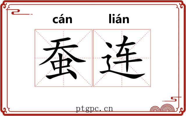 蚕连