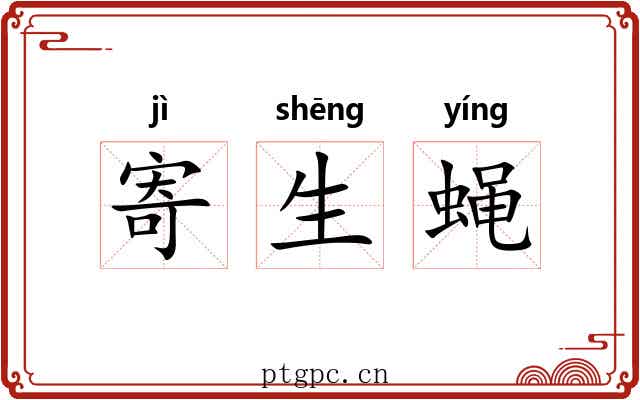 寄生蝇 寄生蝇
