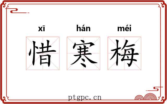 惜寒梅