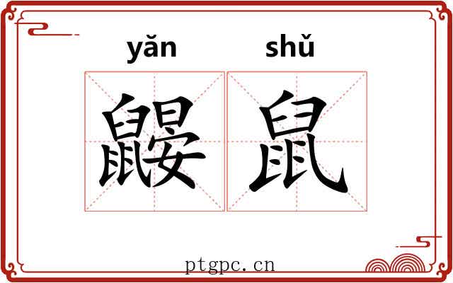 鼹鼠 鼹鼠