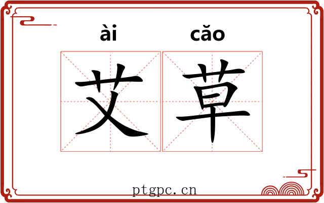 艾草 艾草