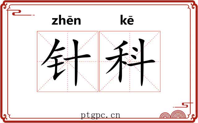 针科