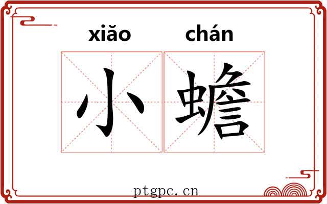 小蟾 小蟾