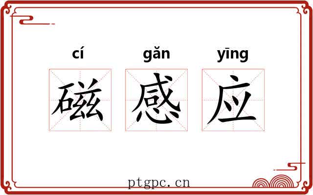 磁感应 磁感应