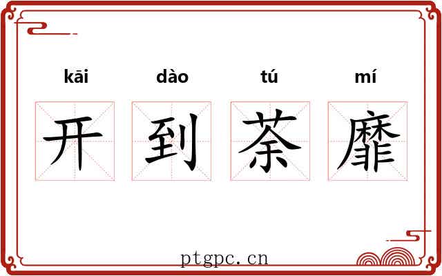 开到荼靡 开到荼靡