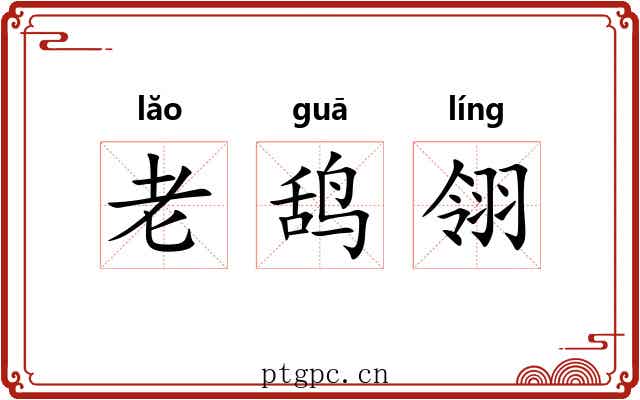 老鸹翎 老鸹翎