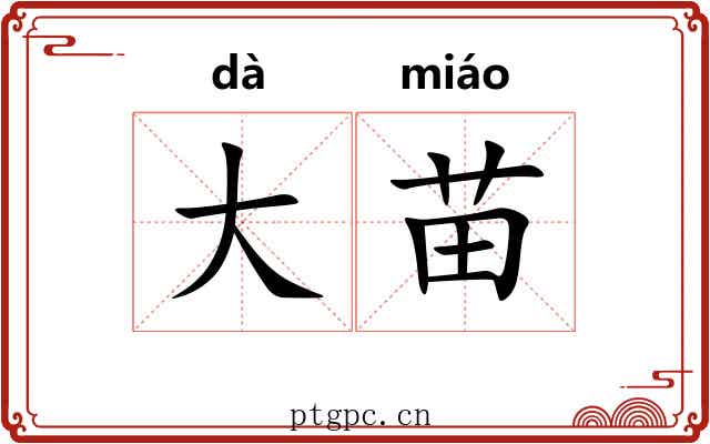 大苗 大苗