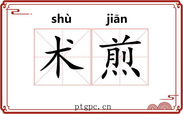 术煎