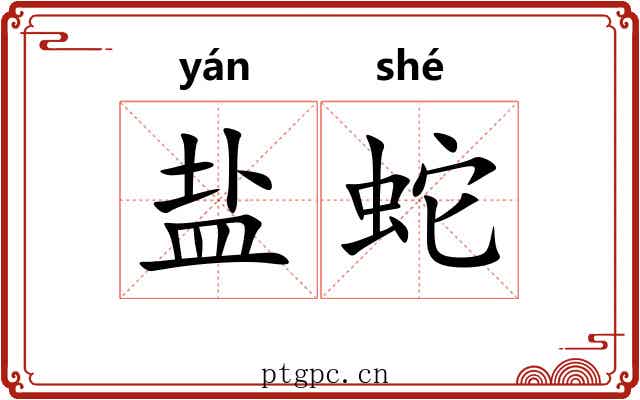 盐蛇 盐蛇