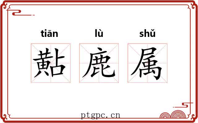 黇鹿属