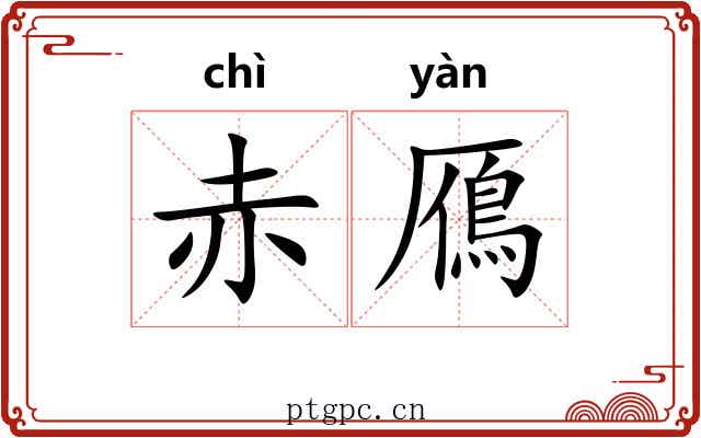 赤鴈 赤鴈