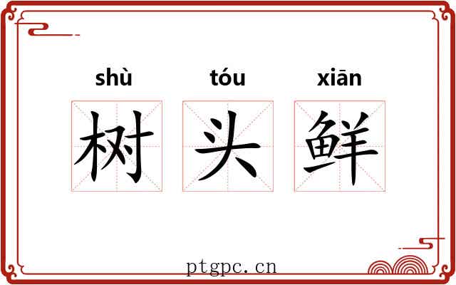 树头鲜 树头鲜