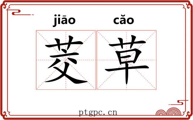 茭草 茭草