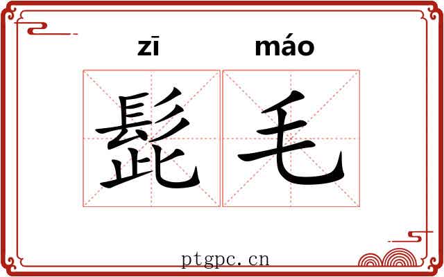 髭毛