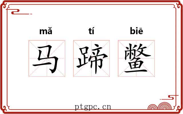 马蹄鳖