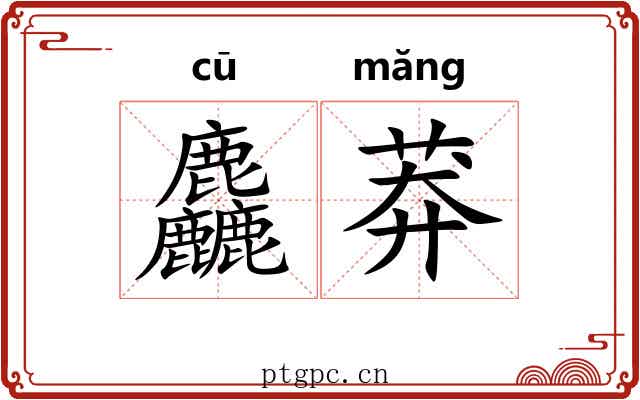 麤莽