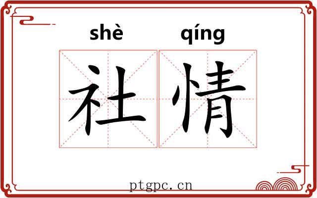社情