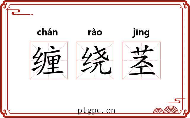 缠绕茎
