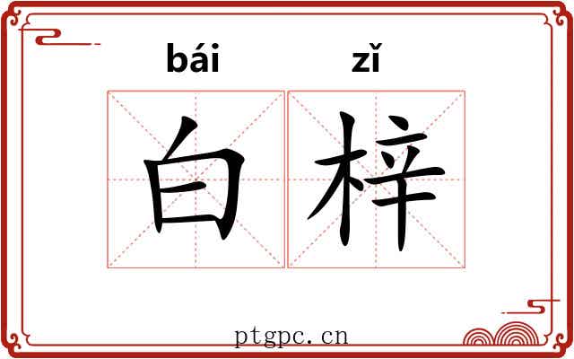 白梓 白梓